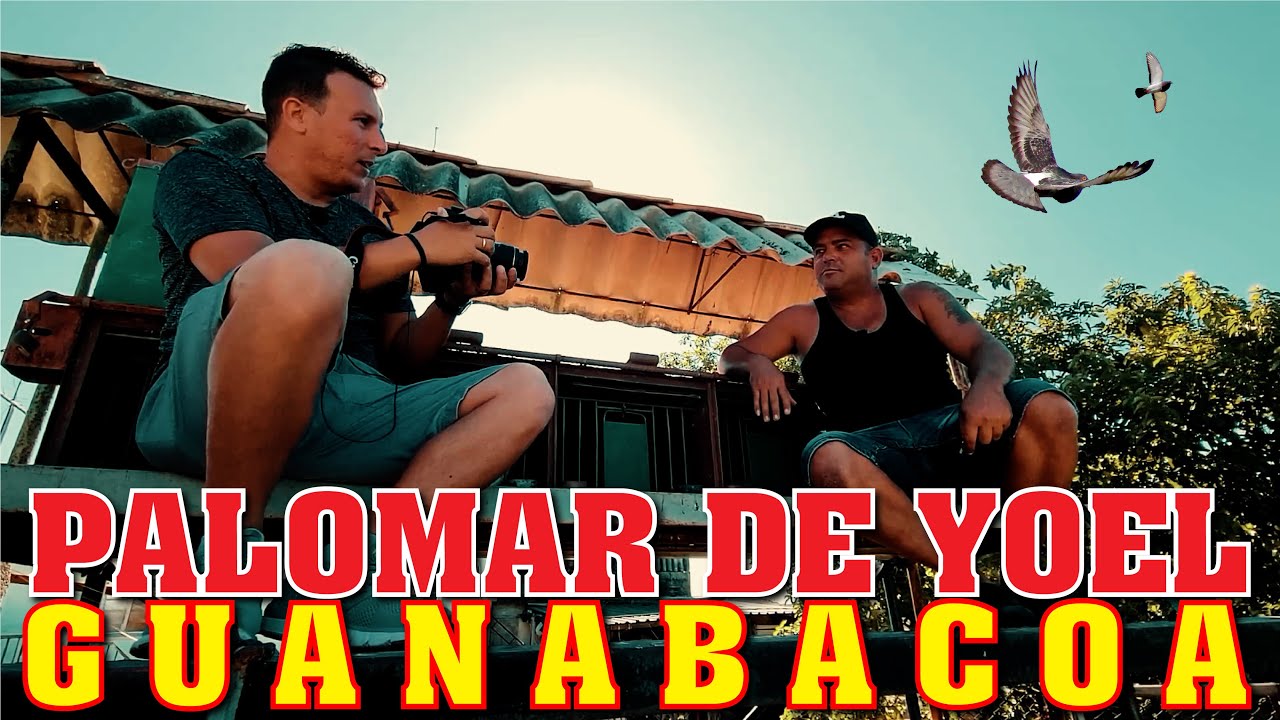 PALOMAR de CONQUISTA de YOEL en GUANBACOA.