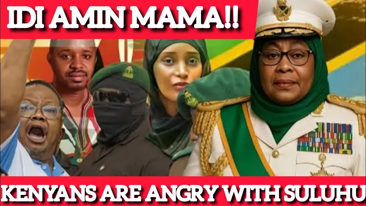 HII NI M🅰️🅰️JABU KENYANS REACT TO SAMIA SULUHU SENTIMENTS ON KENYAN ACTIVISTS IN TZ