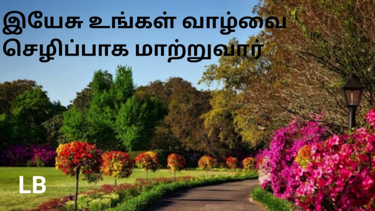 இயேசு உங்கள் வாழ்வை செழிப்பாக மாற்றுவார்
