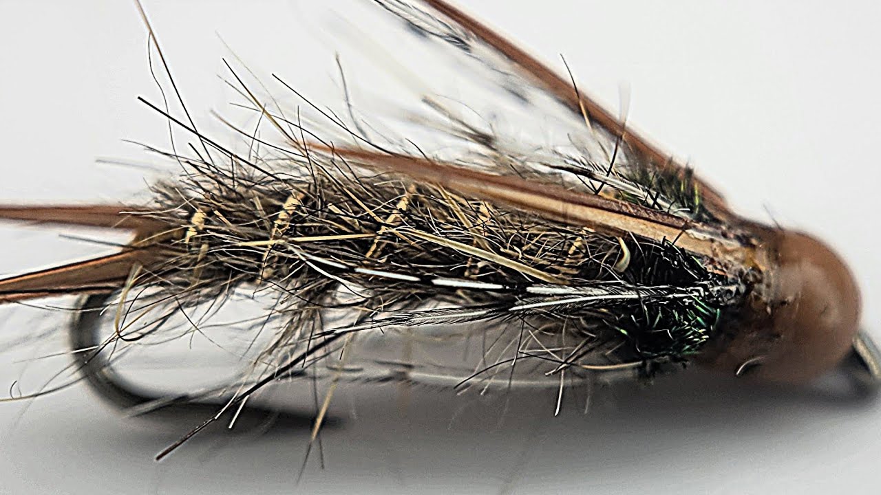 Нимфа принца заячьего уха от adkflytying