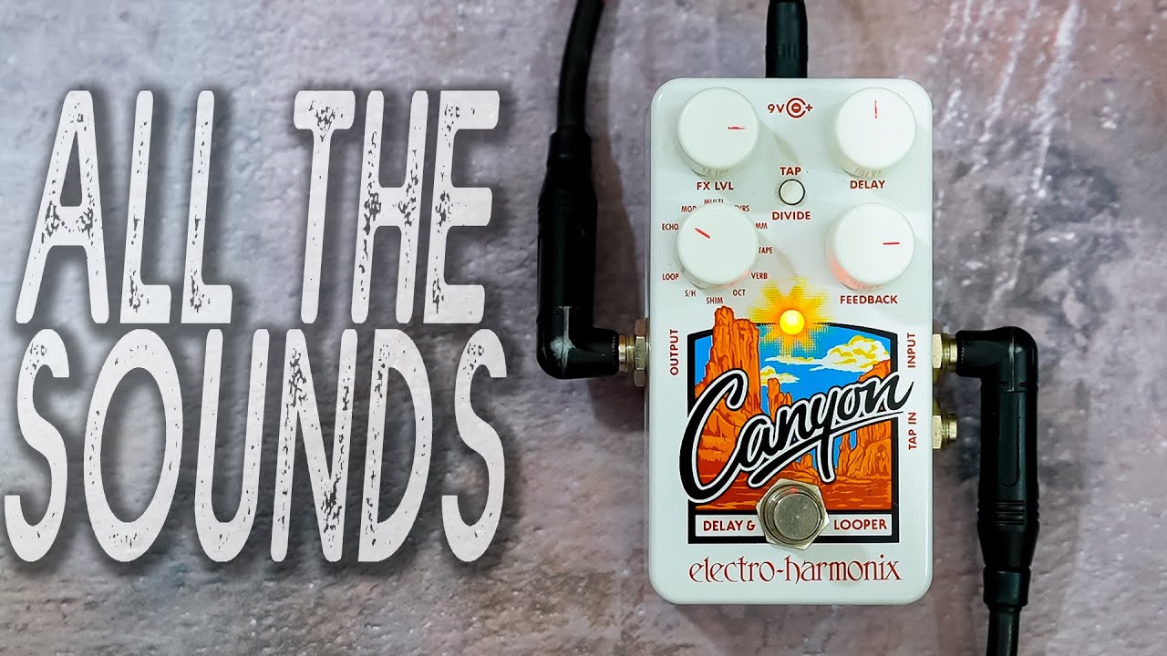 EHX Canyon // Delay & Looper | ALL THE SOUNDS [NO TALK / ONLY TONES] // with Secondary Functions