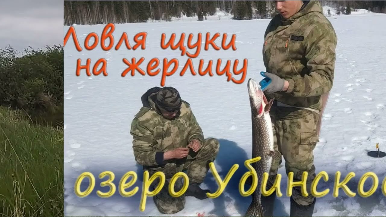 Кто хозяин Убинского озера? #18