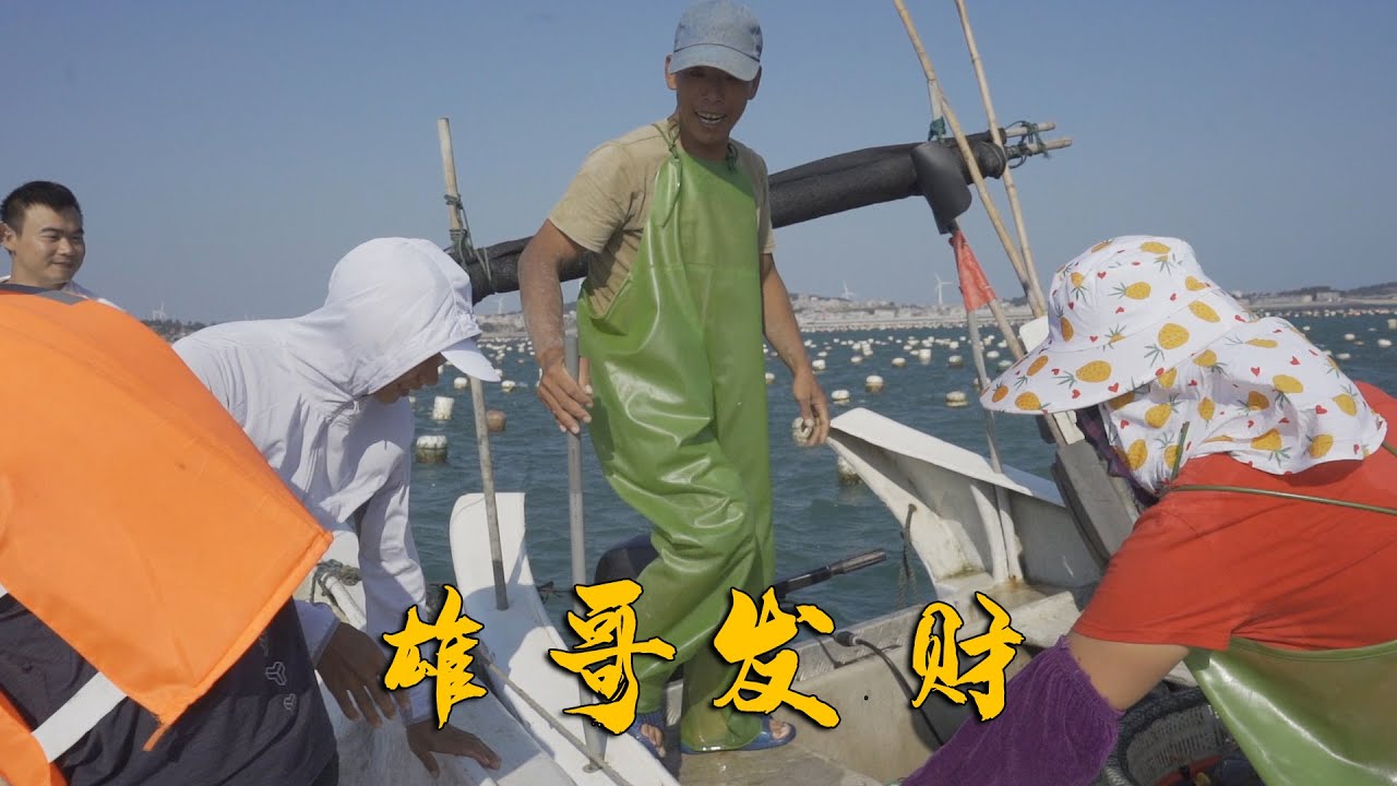 阿烽带朋友出海钓鱼，不料阿雄放网闷声发大财，几十斤海货乐坏了