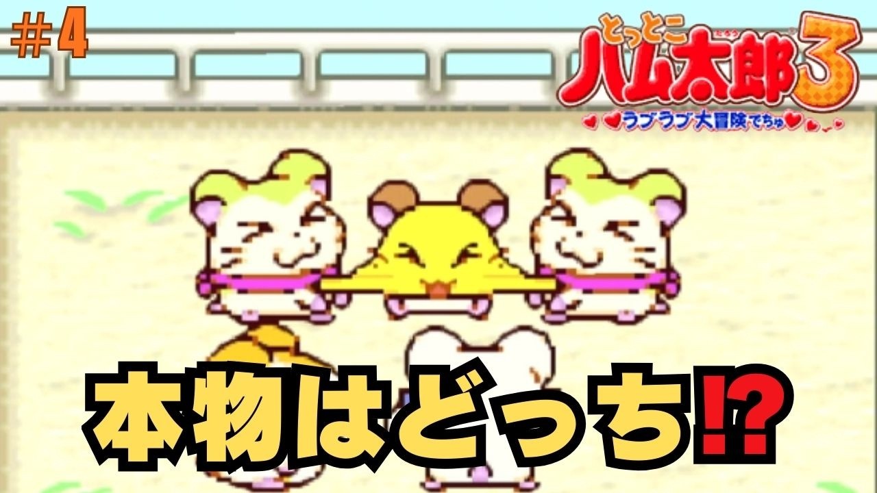 ハム太郎3 本物はどっち！？マフラーちゃん大混乱！#4【てぃきみ】
