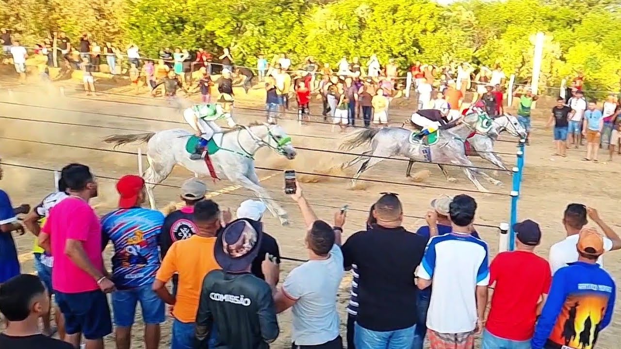 TRADICIONAL FESTA DO VAQUEIRO DE CAPITÃO GERVÁSIO DE OLIVEIRA 2025 - Cavalos