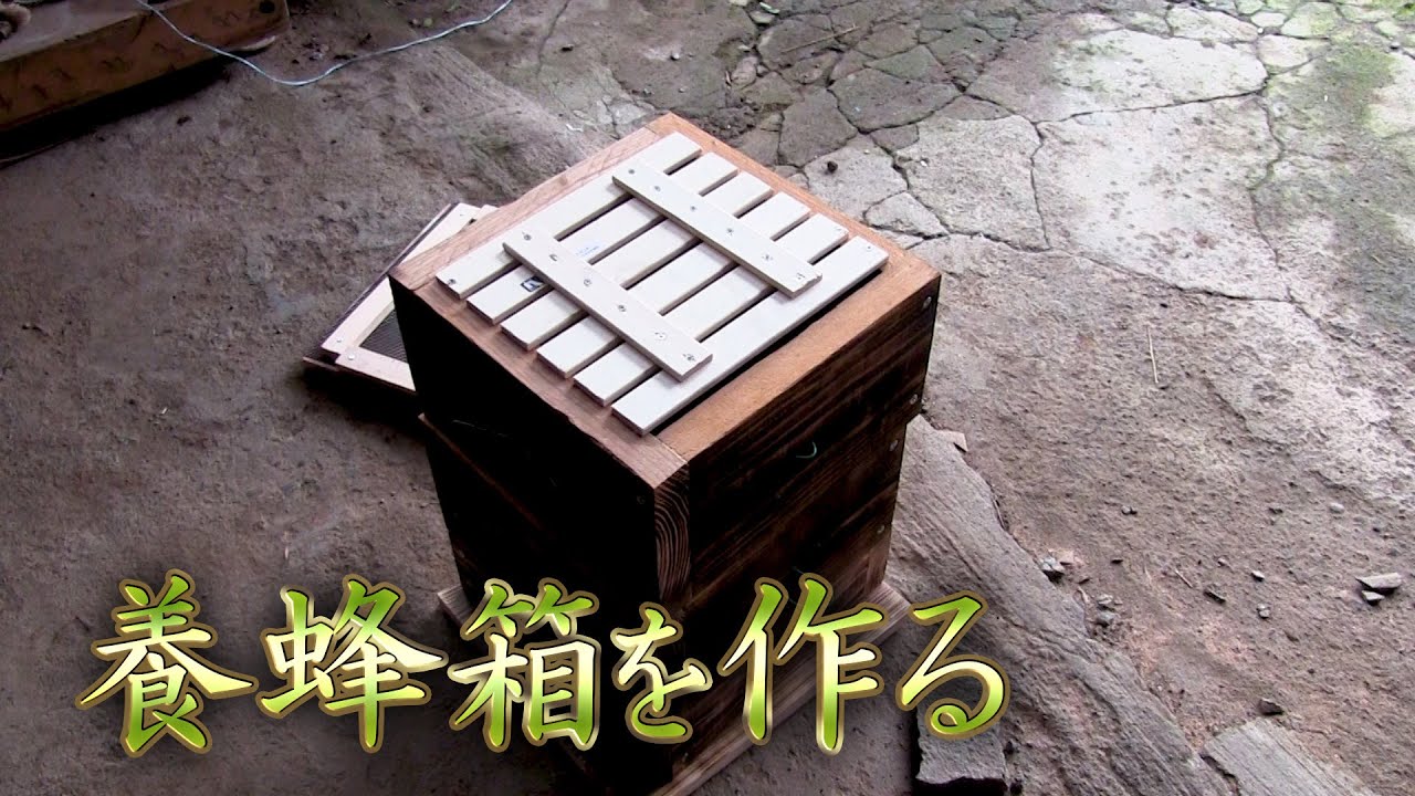【養蜂箱】初めての養蜂箱づくりと設置