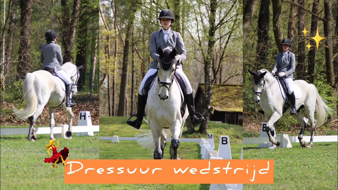 Balen van de punten op DRESSUUR WEDSTRIJD || Vds Stables