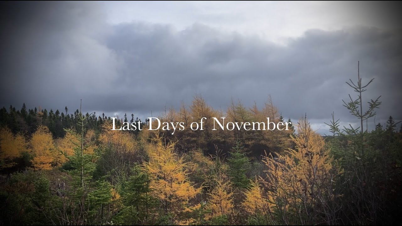 November Endings * Saying Goodbye * Making Wine * Painting A Pastel Portrait Of My Beloved Cat