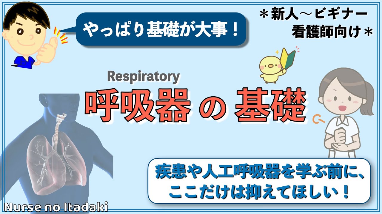 【呼吸器の基礎】疾患や人工呼吸器を学ぶ前に！