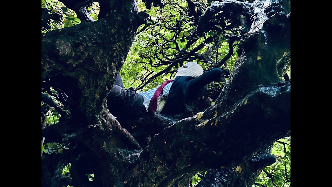 MAZi - WHERE?