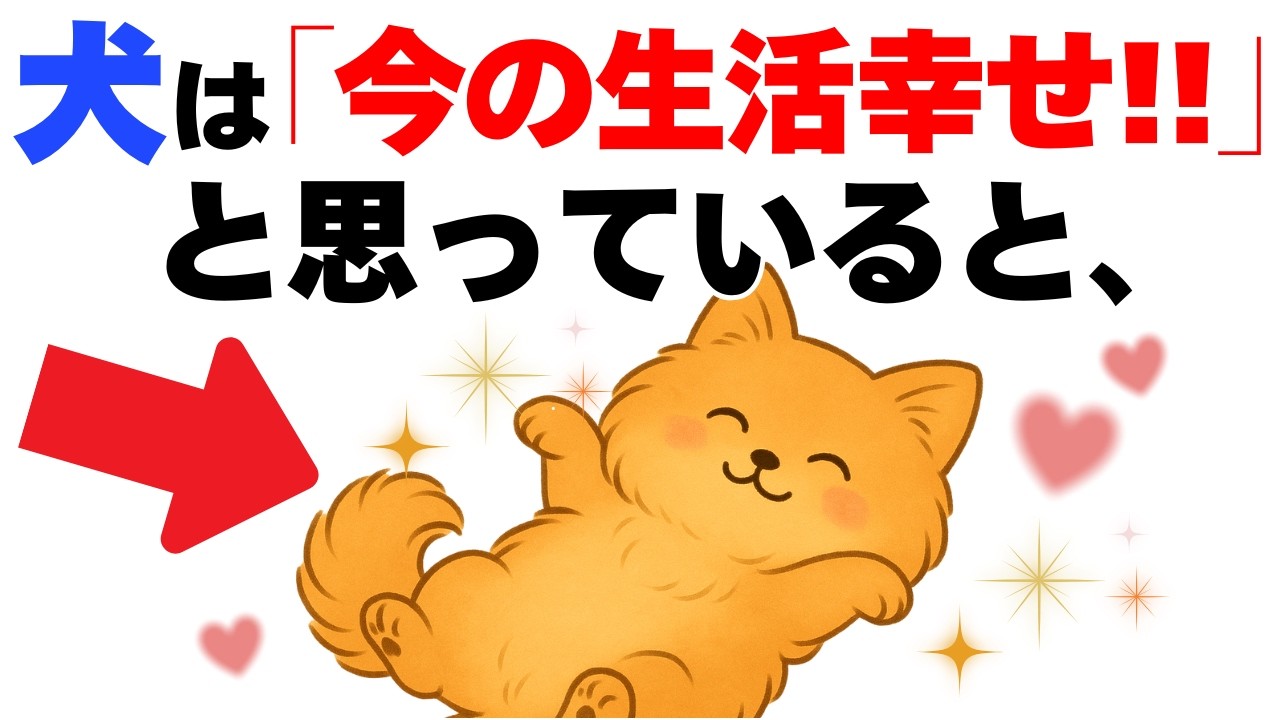 【知ってた??】犬が超幸せな時に必ず見せる行動１２選｜犬の厳選雑学