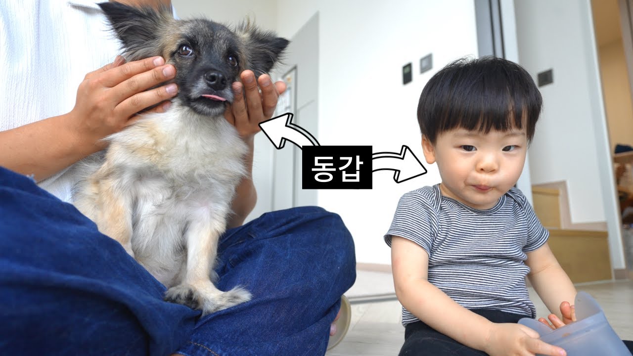 인간 친구가 생긴 강아지