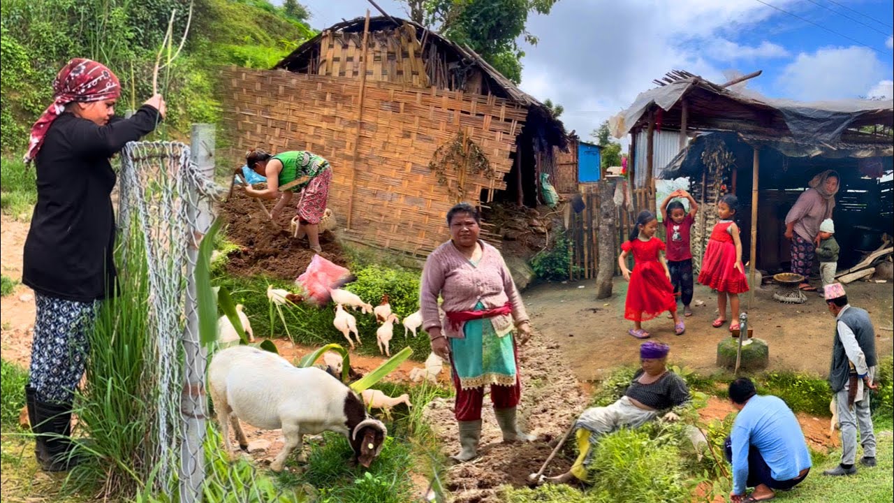 Beautiful Nepali Mountain Village Simple Lifestyle | Started Monsoon Season | BijayaLimbu