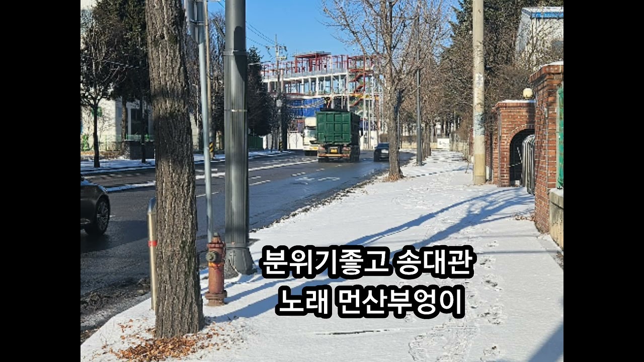 분위기좋고 송대관 노래 먼산부엉이 