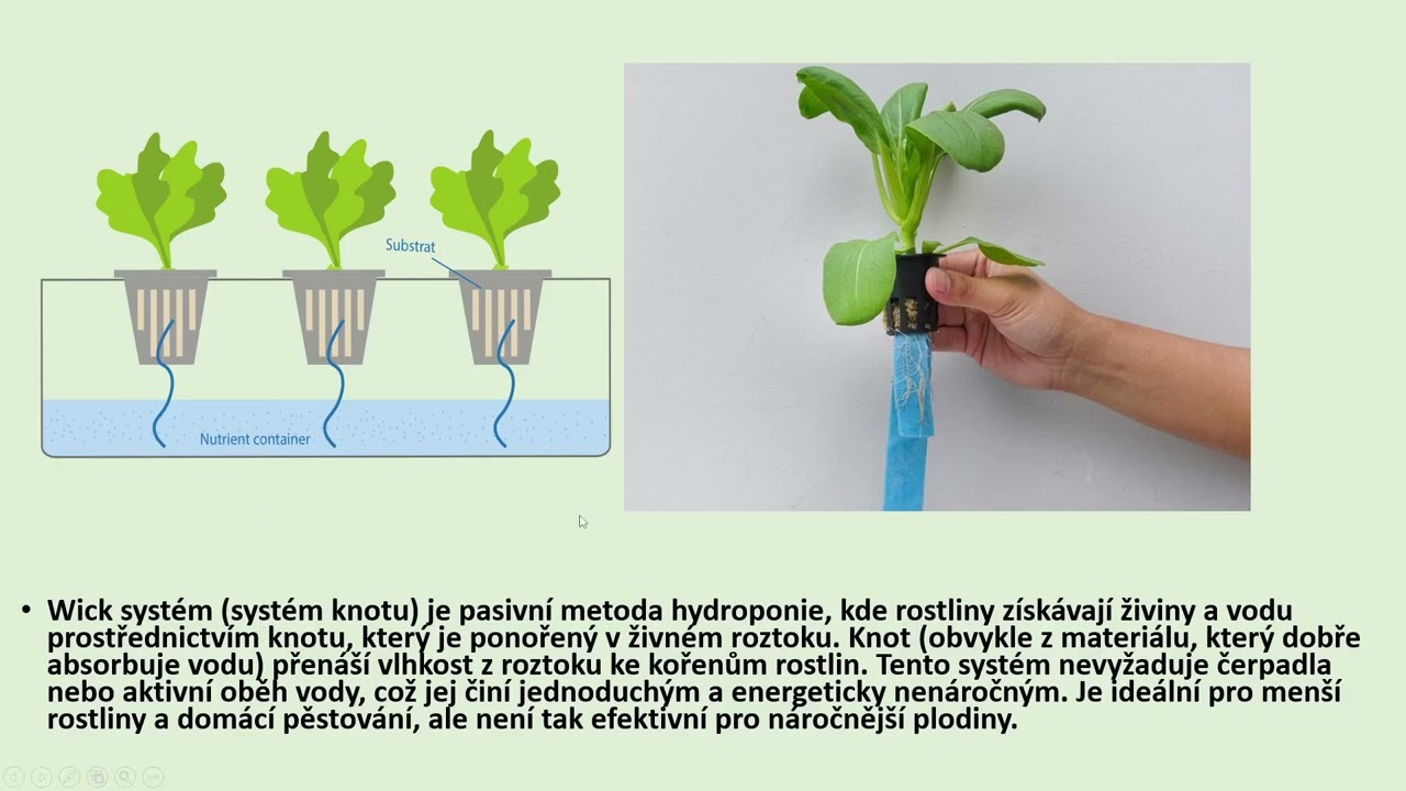Hydroponické systémy-metody.Co si vybrat?