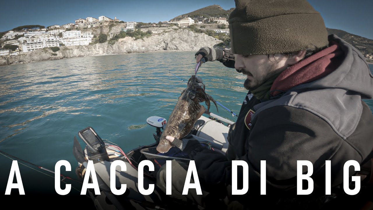 Eging Tender - SEPPIE | a CACCIA di BIG