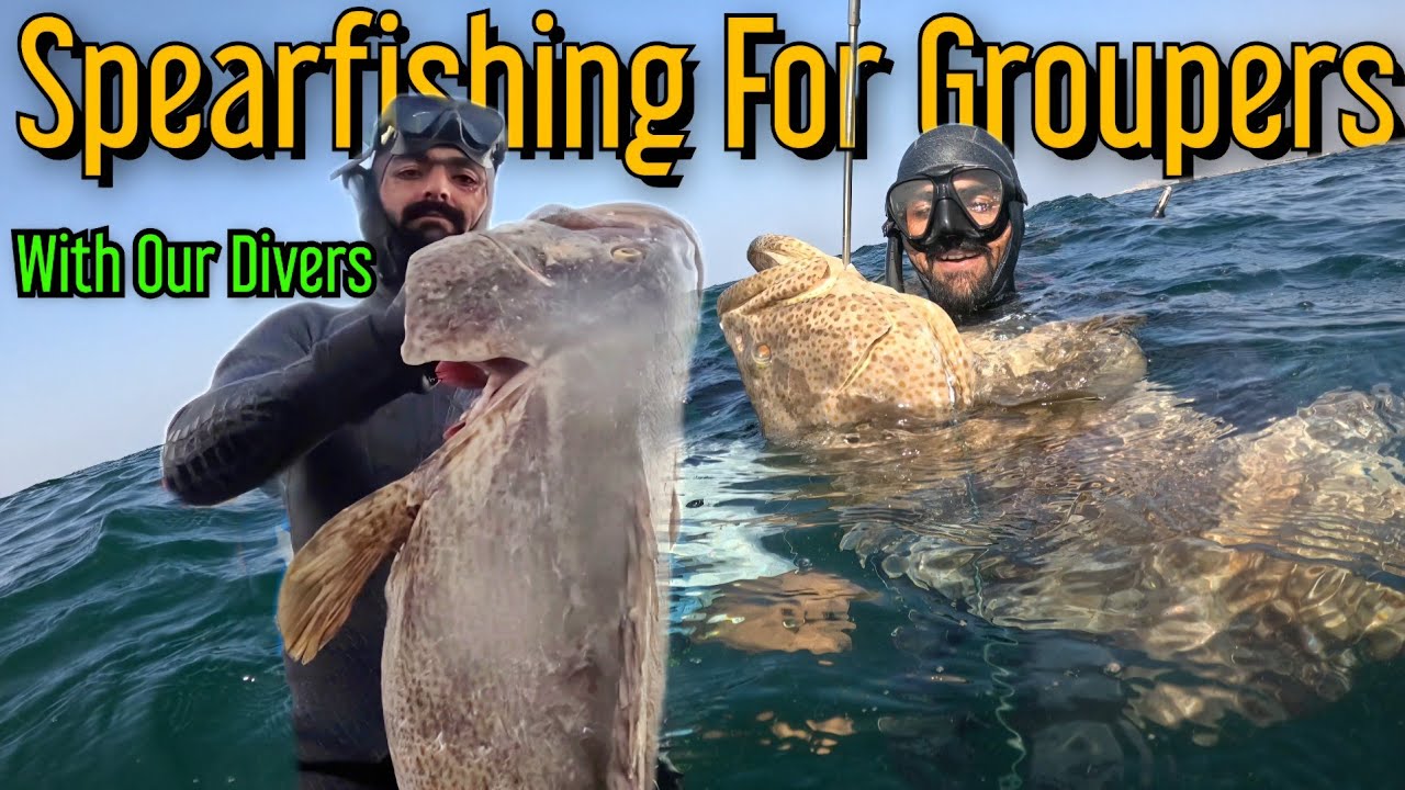 Shore Diving for Groupers |Commercial Diving Videos |Spearfishing Videos |Diving Videos|Fishing Game