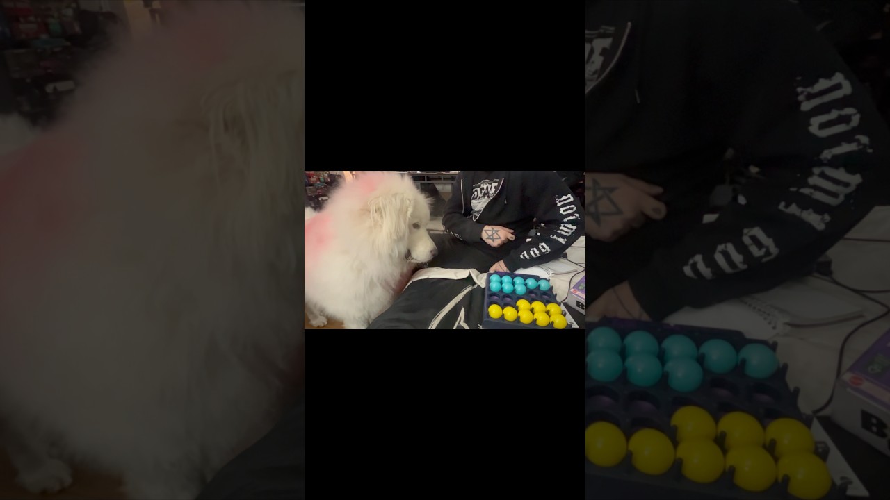 #bounceoffpopout