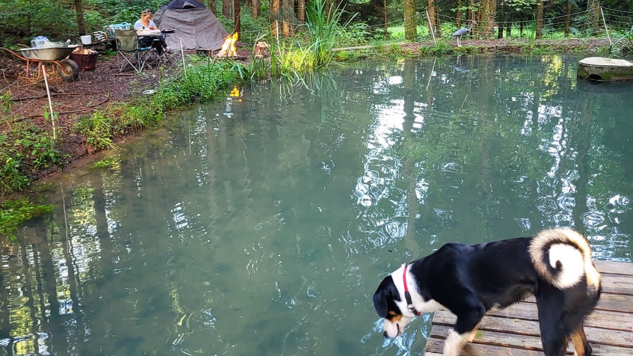 Forellenteich anlegen / Building a Trout Pond