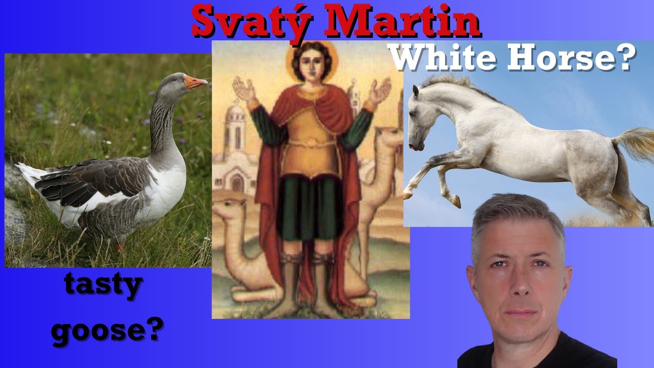 Saint Martin Czech English Goose Idioms
