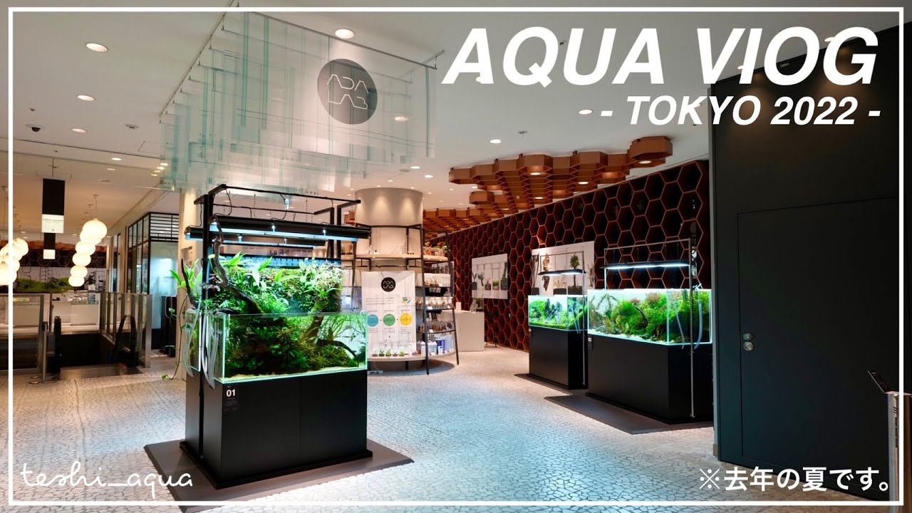 【アクアリウムVLOG】東京のアクアな場所をふらふらしてた様子。/vlog/#36