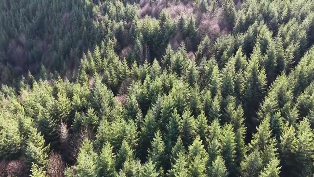 Farm and Forest  - Oregon - Jan 25