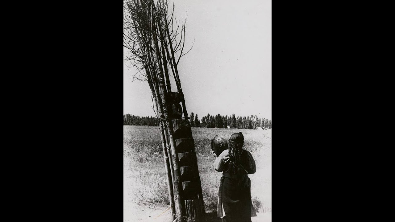 Machi Juana Rayman Cheuque. Comunidad Quetrahue, Lumaco. Enero, 1981