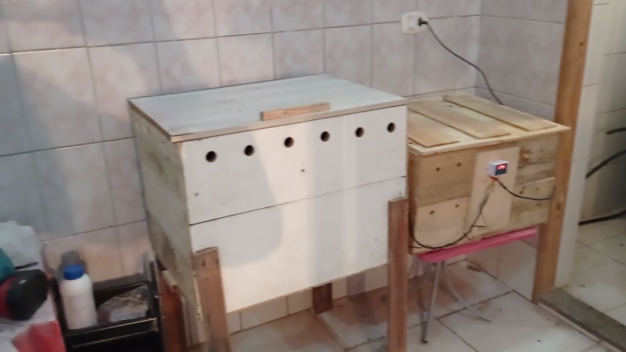Fazendo Cocho e Pinteiro pras Codornas