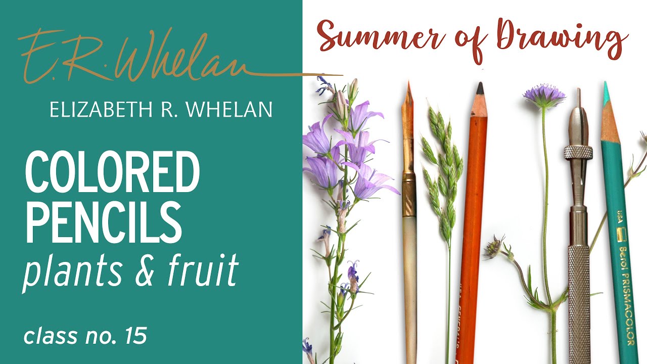 Colored Pencils: Drawing Plants and Fruit - Elizabeth R. Whelan - artist