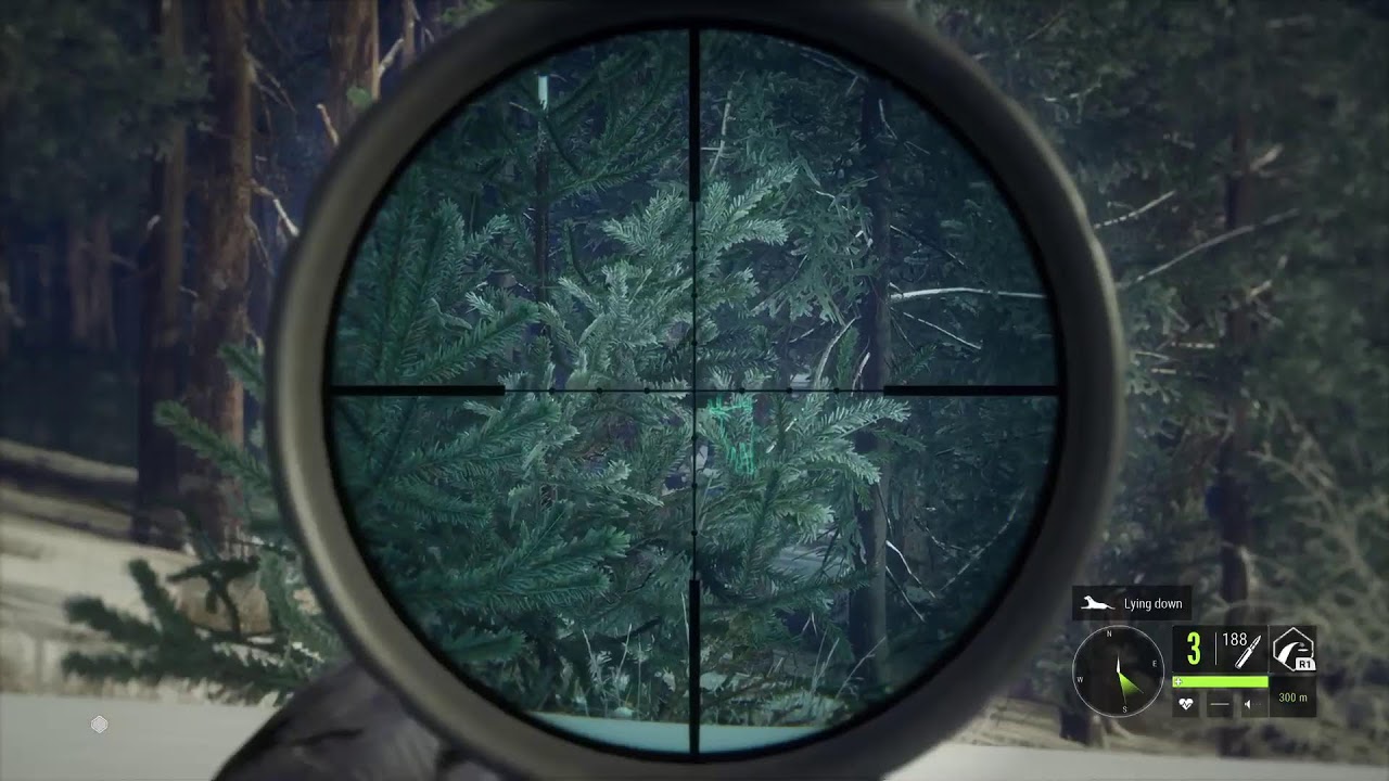 Call of the Wild