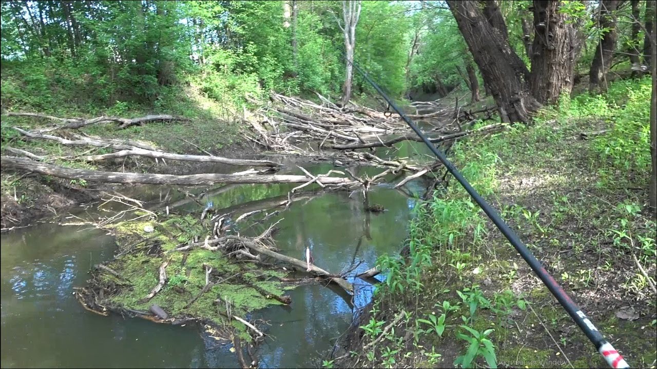 Коряг больше, чем Воды. Клев щуки на микроречке