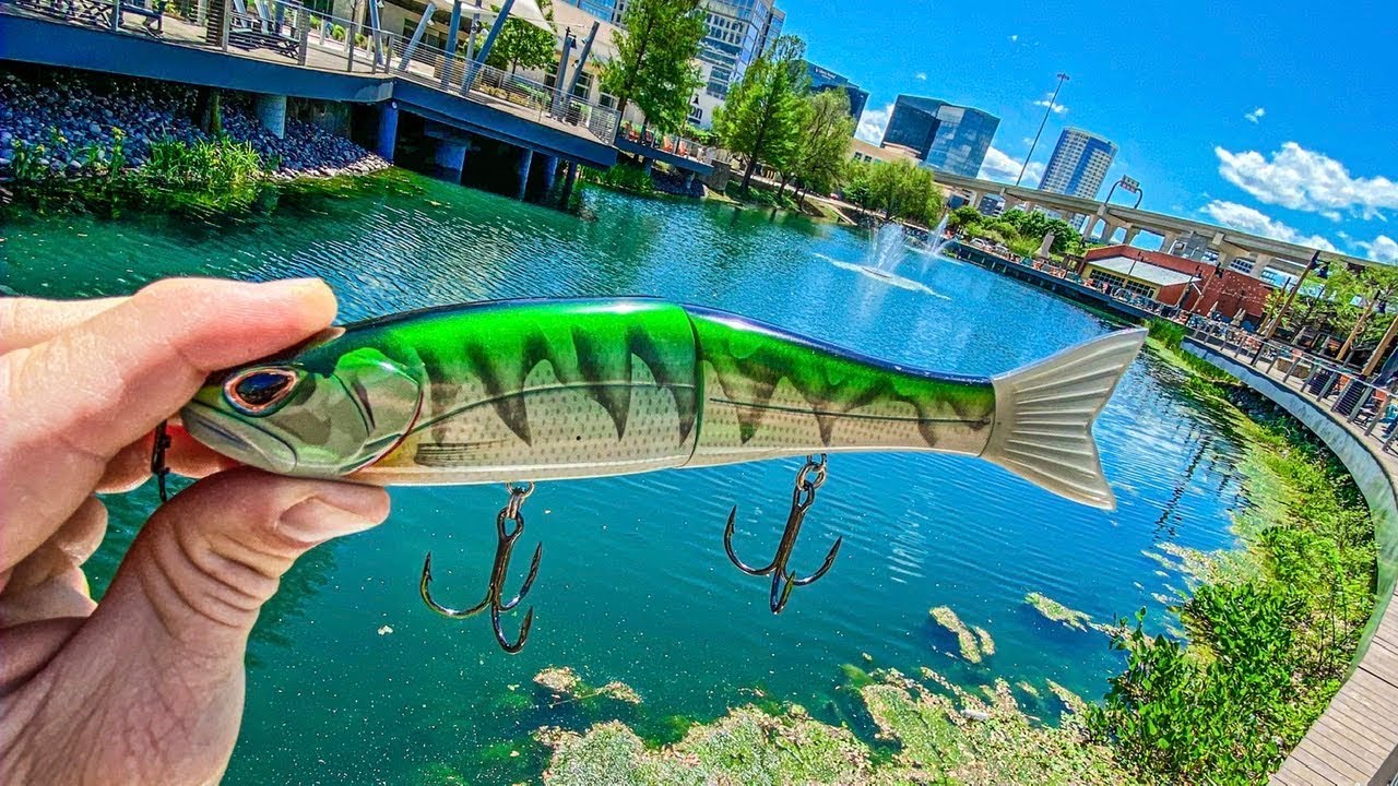 FISH ACTUALLY EAT THIS!! Security Kicked Us Out EASTER SPECIAL!! (Arashi Storm Glidebait)