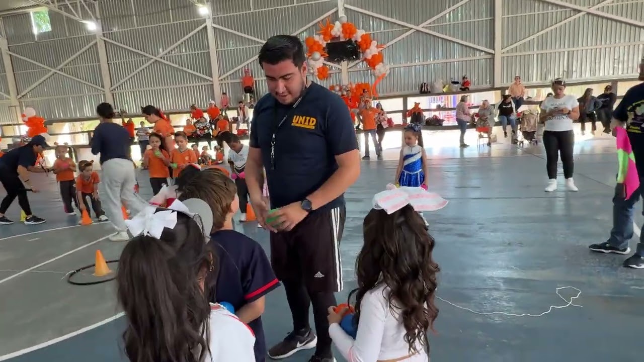 Ratones y Gatos 2026 mi pequeño mundo 