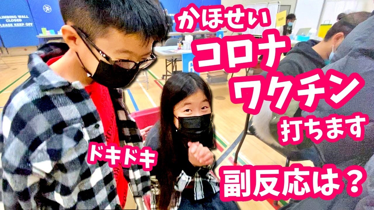 かほせい コロナワクチン打ちます💉 ドキドキ 副反応は？翌朝の様子