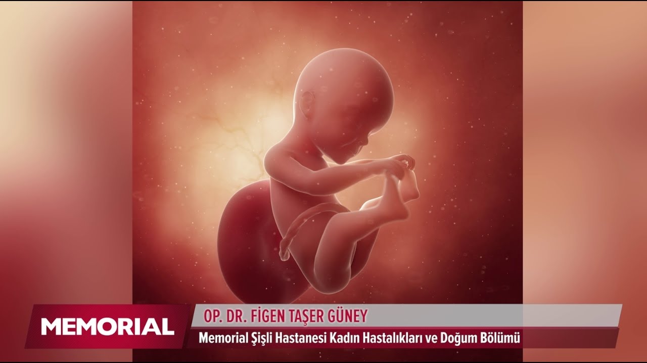 24 haftalık gebelik döneminde neler oluyor?