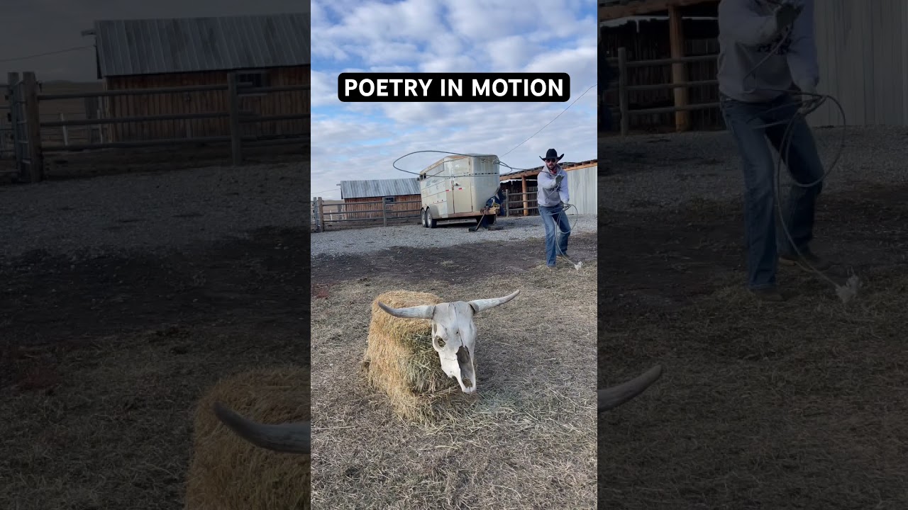 WATCH THIS ALL DAY! #teamroper #cowboy #roping