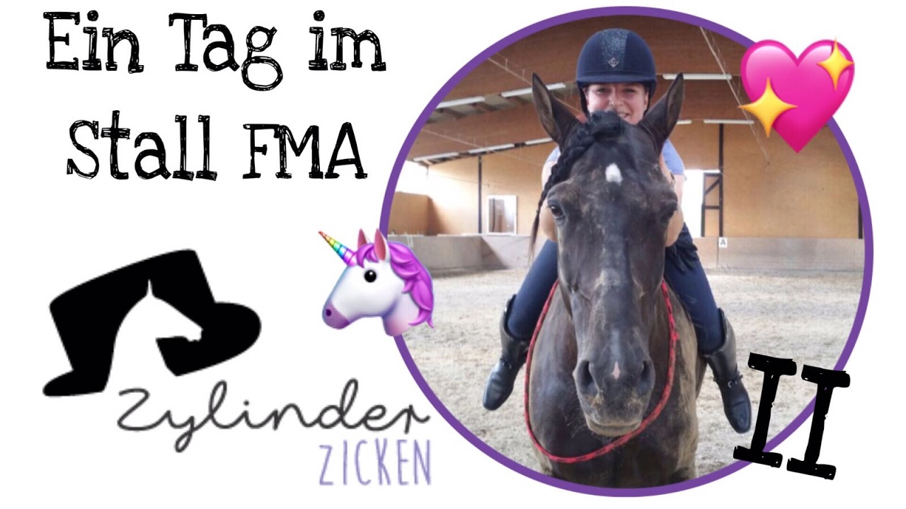 FMA + HAUL / Ein Tag im Stall Teil II