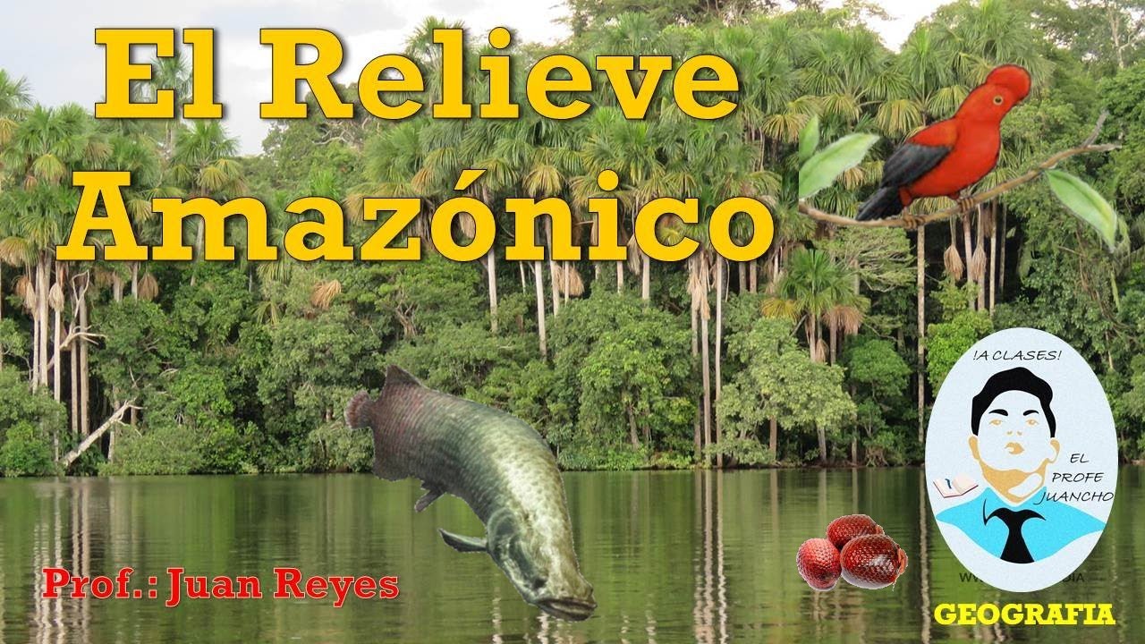 El relieve Amazónico - LA SELVA