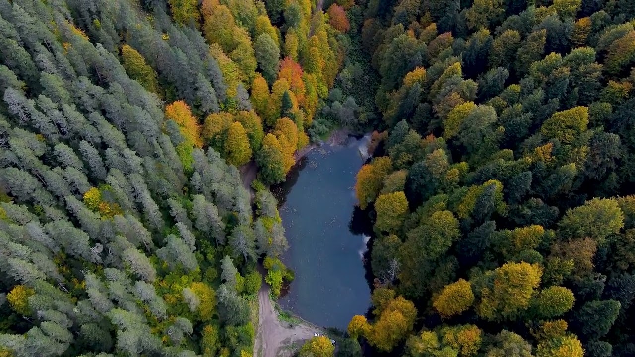 Bolu - Geyik Gölü Sonbahar Drone 4K