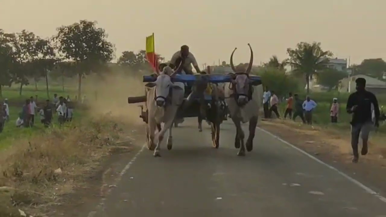 ಉಪರಹಟ್ಟಿ ಮೈದಾನ ಜ್ವಾಲಾಮುಖಿ &ಚಿಟ್ಟ ಗುಬ್ಬಿ 🚩ಸಂಪೂರ್ಣ ವಿಡಿಯೋಂ ನುಡಿ😎