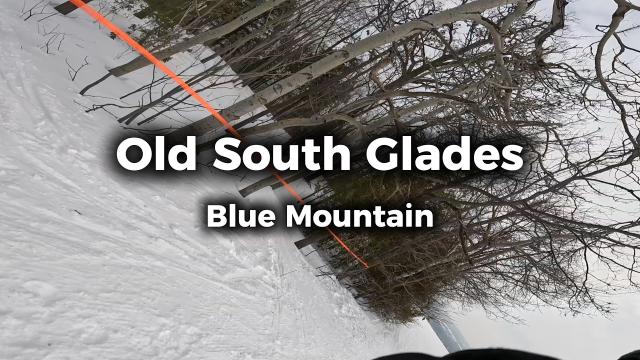 Old South Glades - Blue Mountain - February 2026