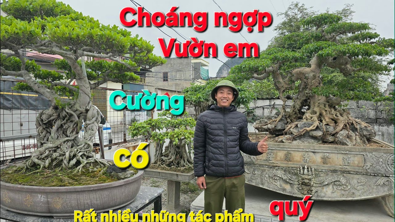  Thăm nhà Vườn Của Em Cường trố Garden Mới Nhập Một số Những Tác phẩm Cực kỳ quý để Giao lưu với cả.