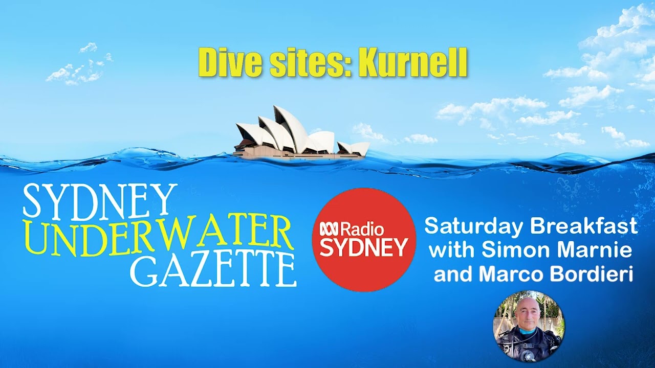 Sydney's dive sites: Kurnell