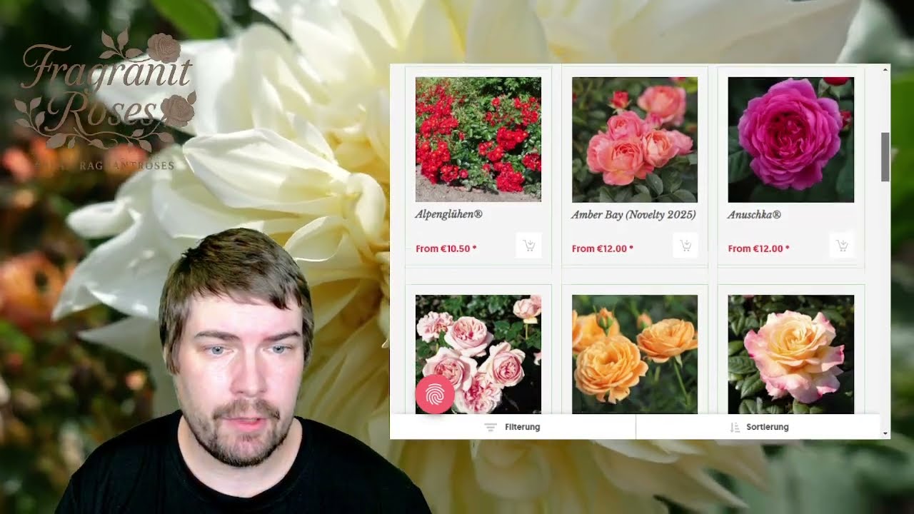 A Tour Through Tantau&rsquo;s Website &ndash; Discovering Their Best Roses