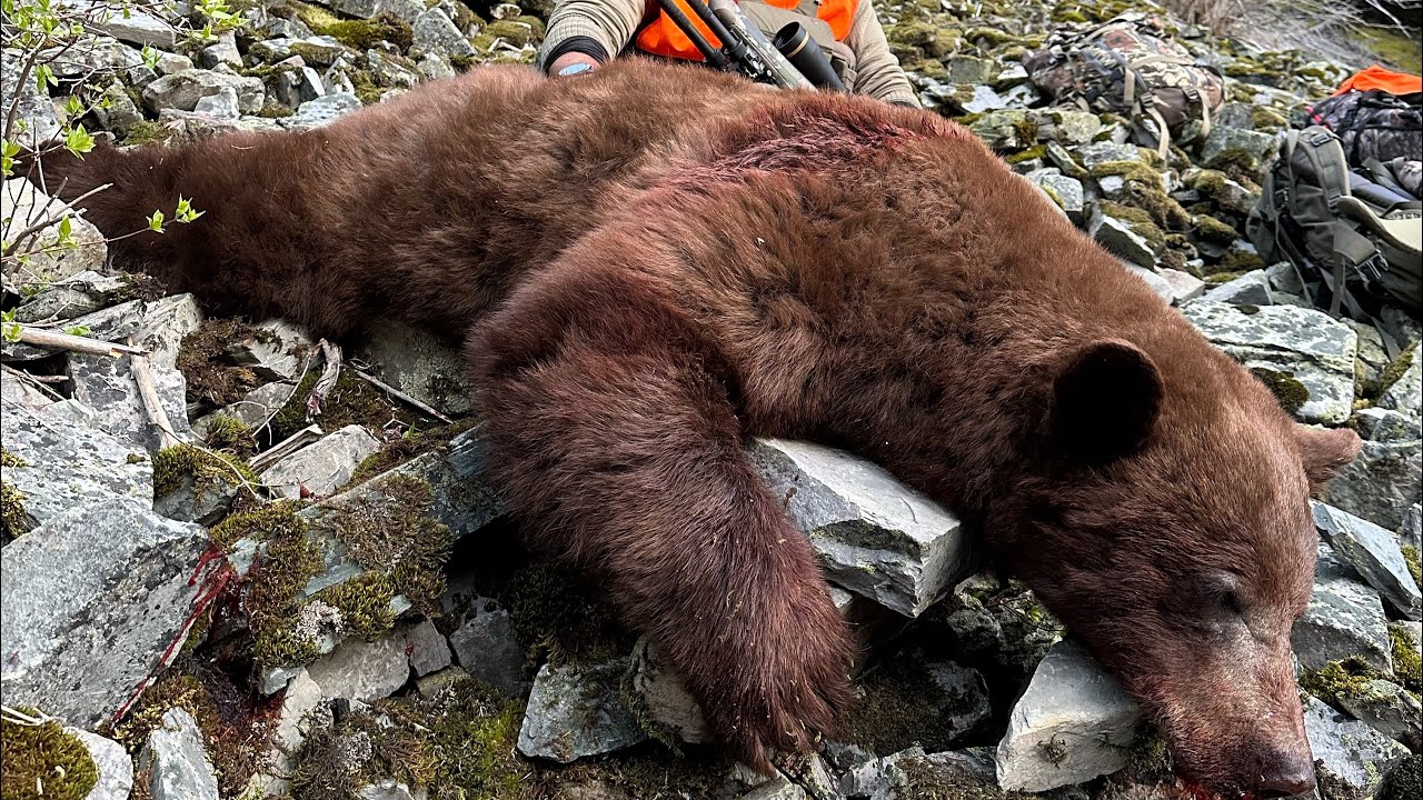 Eric Millers Hardcore Fall/Spring Bear Hunt with Brandon Pitcher