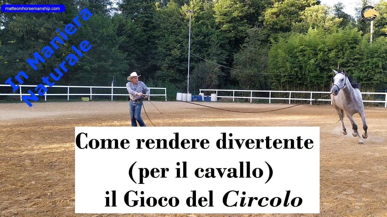 Come rendere divertente (per il cavallo) il gioco del circolo
