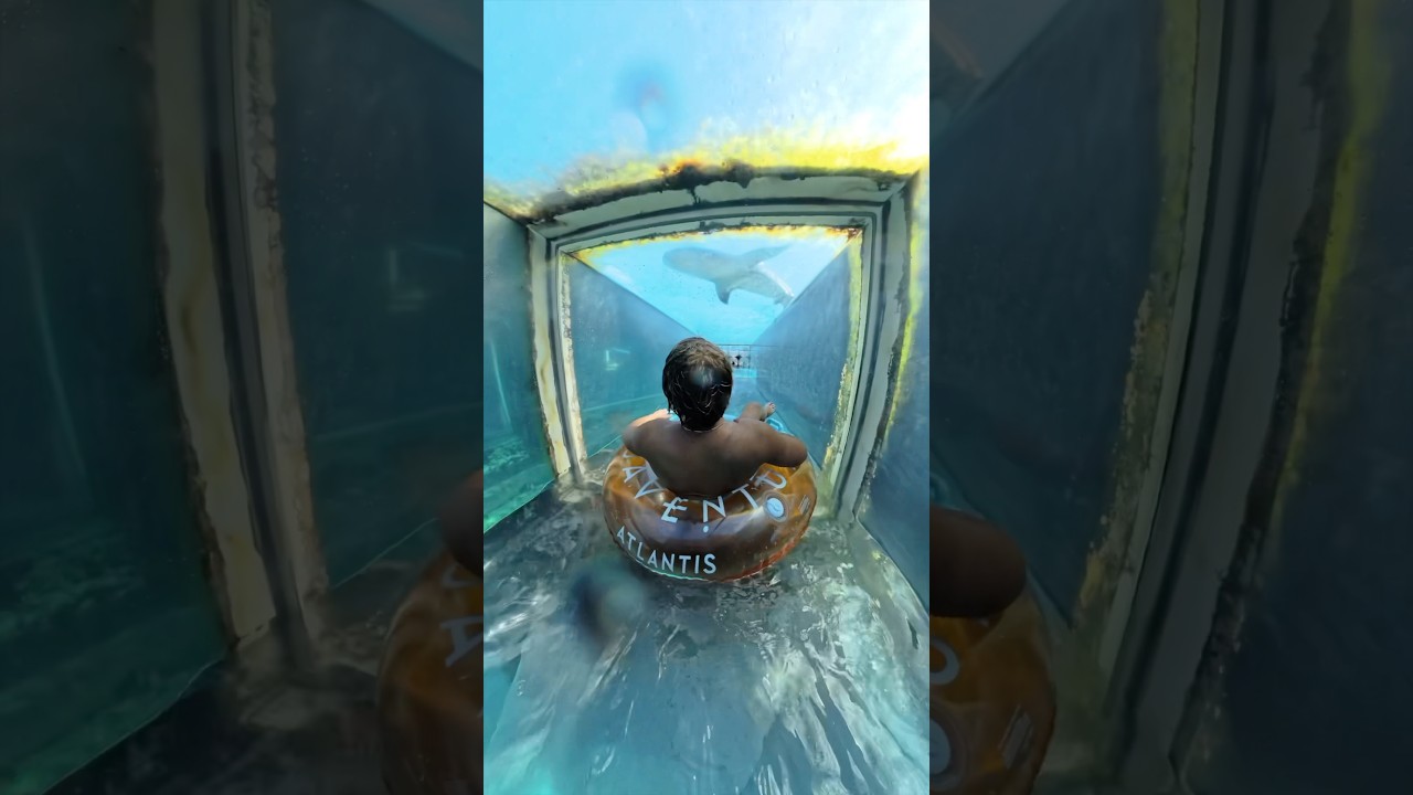 Waterslide into a SHARK TANK 🦈