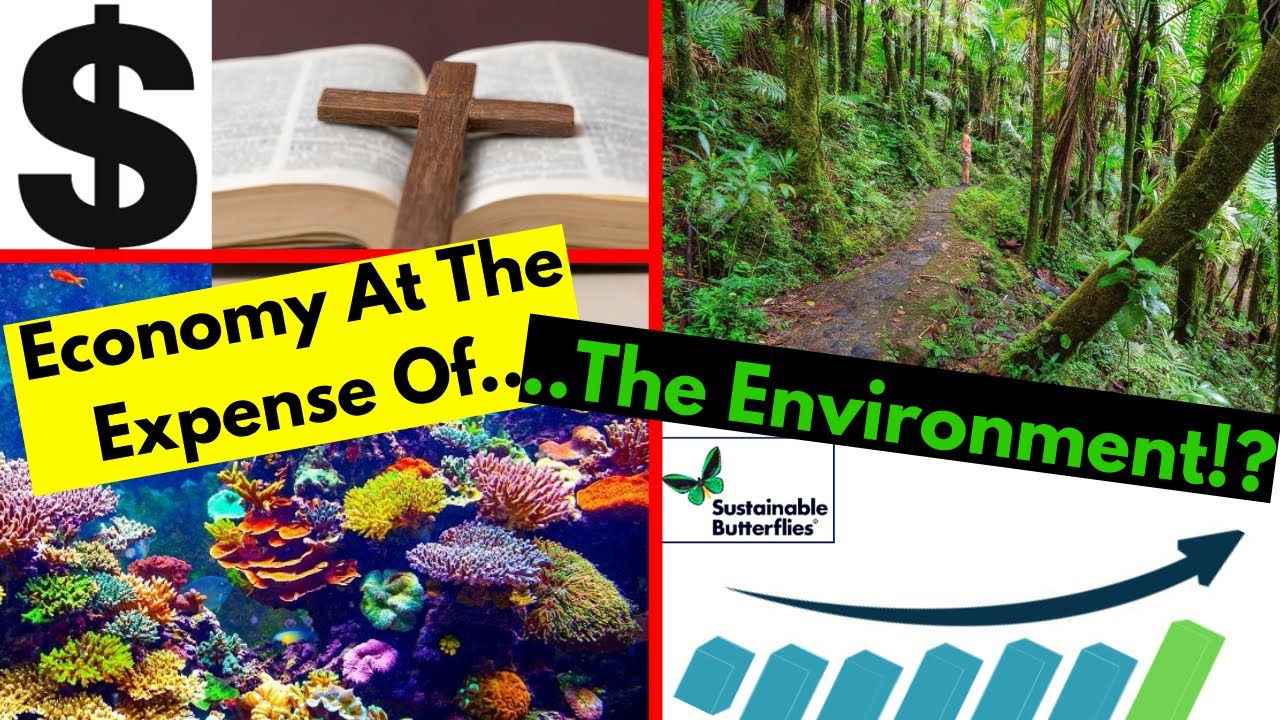 Is It Still Okay To Sacrifice The Environment For The Economy?
