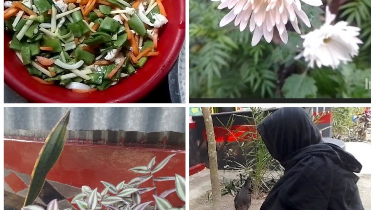 🏚️আজ আমার রান্না ঘরটা পরিপাটি করলাম।🏚️@faridakitchenwithvlog#foryou.,.