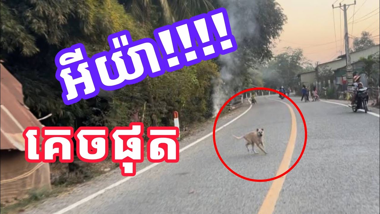 អីយ៉ា​ស!!! គេចផុត😂😂អ្នកណាធ្លាប់ចឹងខ្លះ